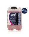 Yuup! Professional Black Revitalizing and Glossing Shampoo 5 liters