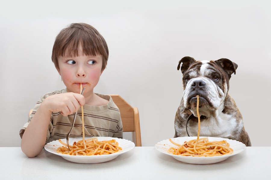 Bulldog mangia gli spaghetti seduto a tavola con un bambino