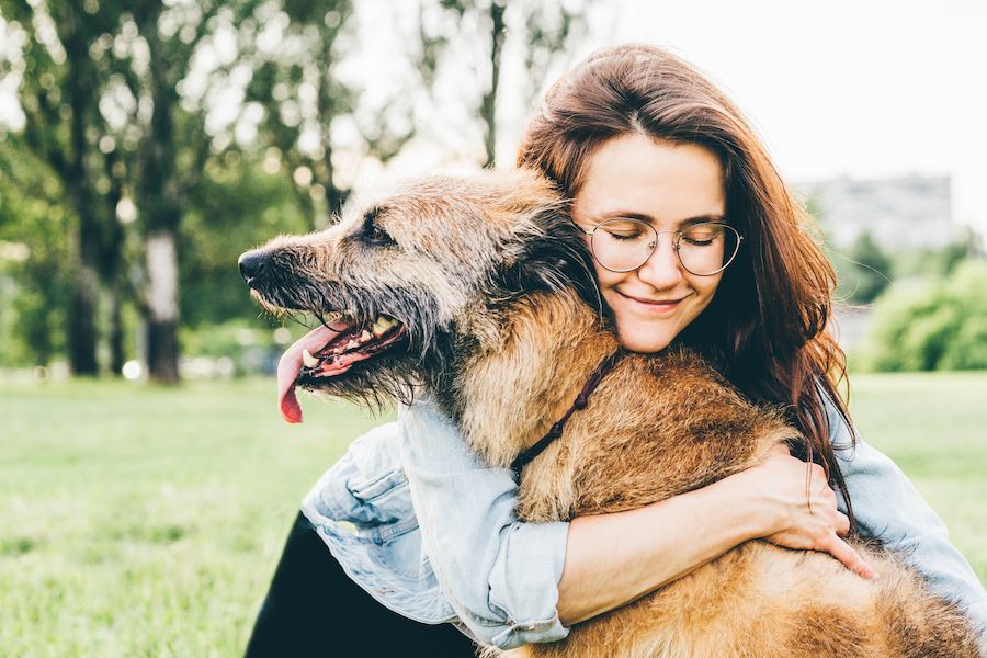 Una donna abbraccia un cane anziano al parco