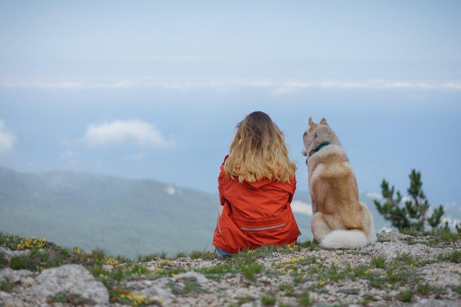 Donna e cane Husky di schiena mentre ammirano un paesaggio di montagna