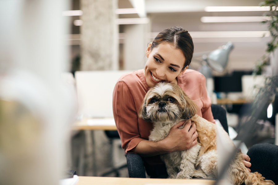 donna tiene in braccio un cane di piccola taglia in ufficio