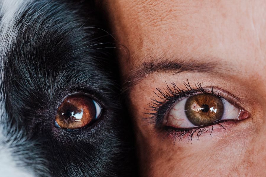 primo piano dello sguardo di una donna e di un cane