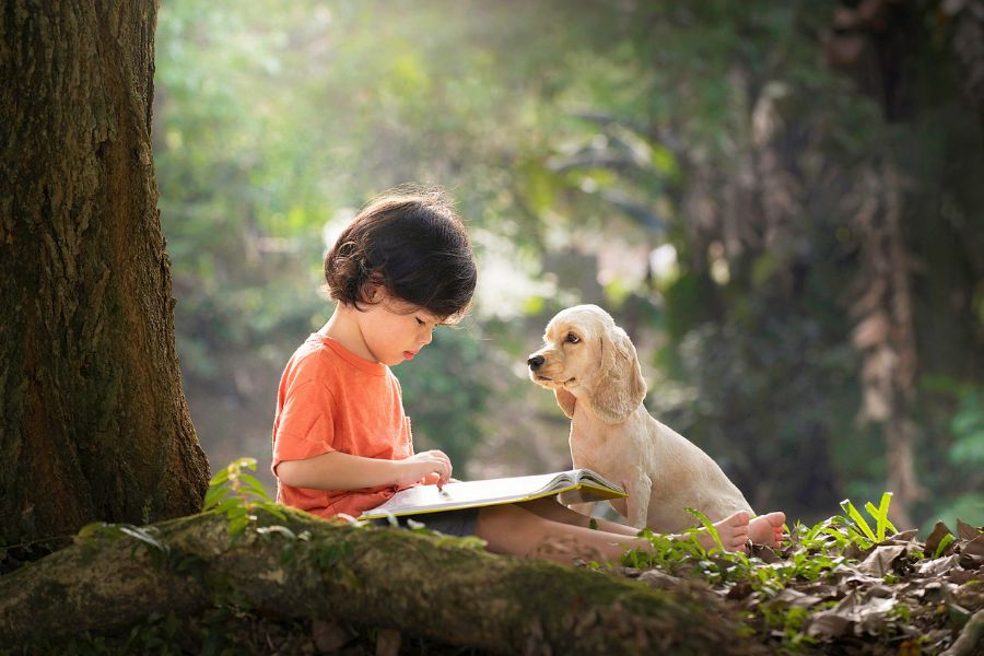 un bambino legge un libro nel bosco con il suo cane cucciolo