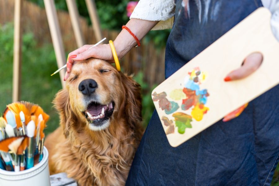 Un labrador viene accarezzato in testa da un uomo con dei pennelli e un quadro e