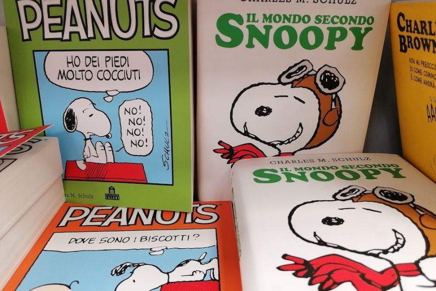 fumetti e libri di Snoopy su uno scaffale