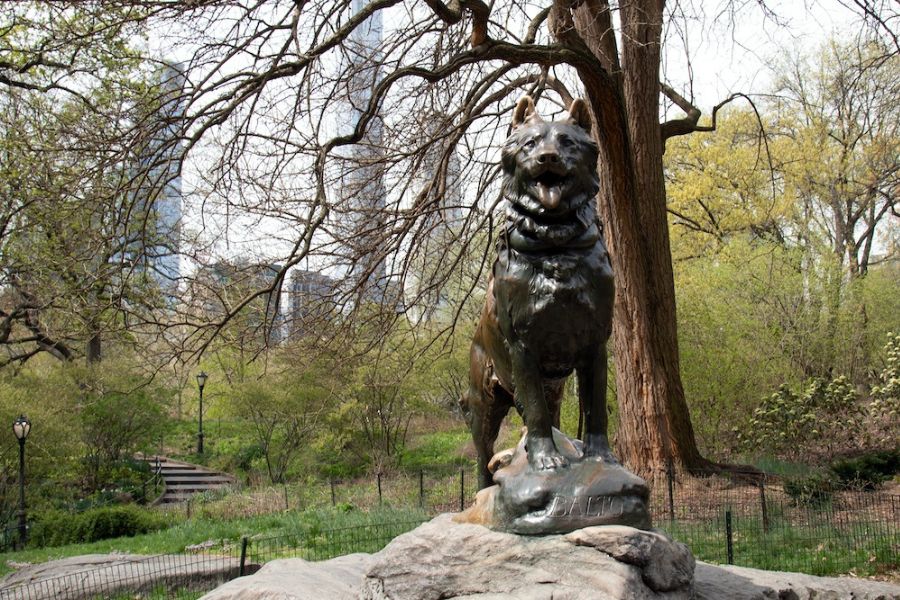 La statua del cane Balto al Central Park di New York