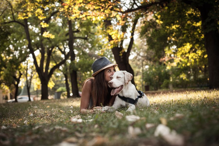 ragazza con cane al parco si rilassano all'ombra