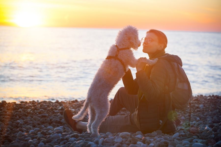 una cagnolina dà un bacino alla sua umana del cuore davanti a un ruscello