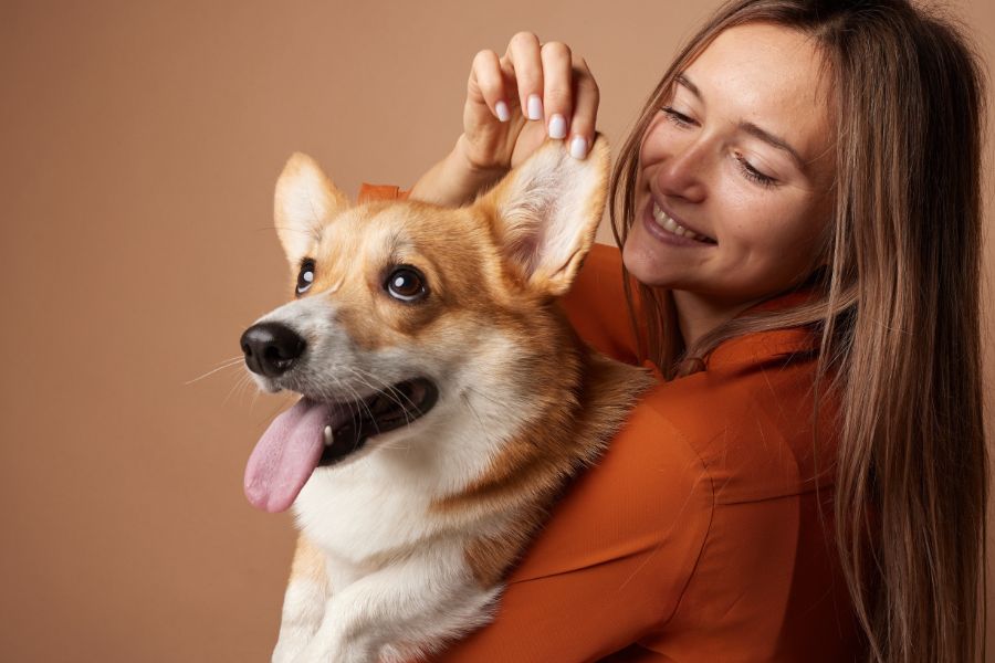 una ragazza abbraccia un cane e gioca con le sue orecchie