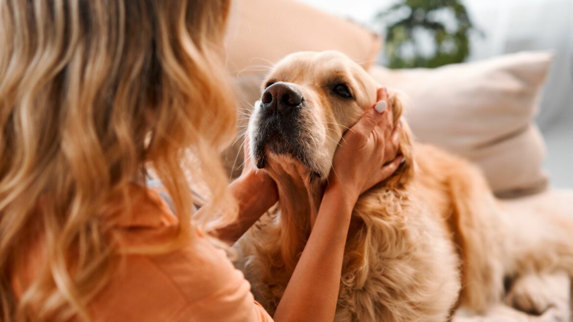 ragazza accarezza il musetto di un cane per dimostrargli la sua amicizia