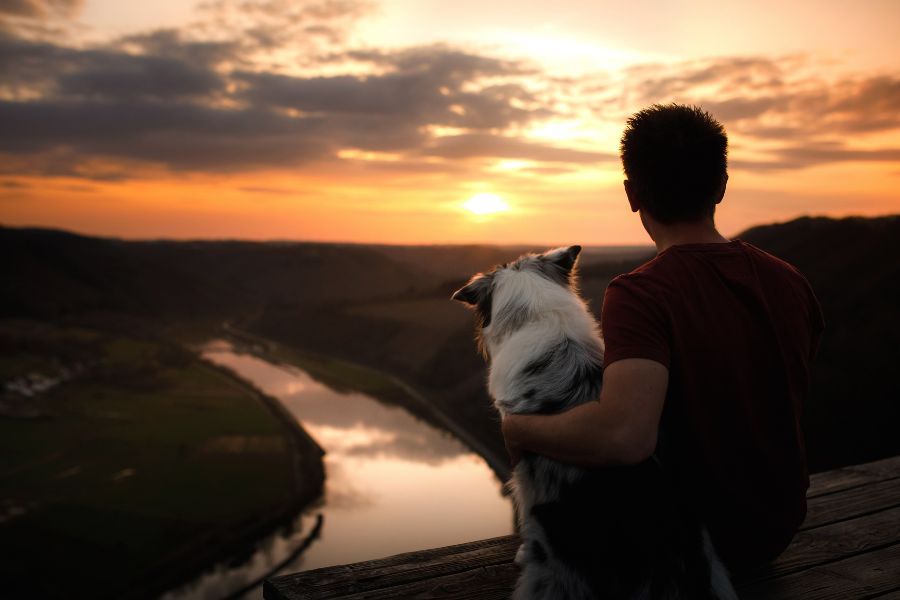 un ragazzo al tramonto guarda il paesaggio di un fiume con in braccio il suo cane