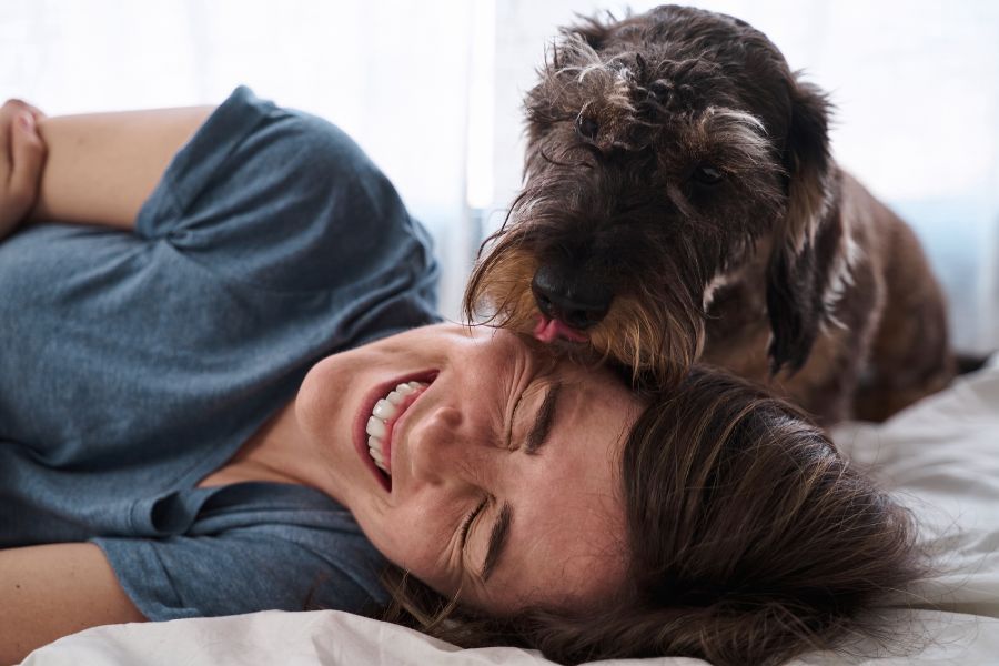 un piccolo cane lecca la sua pet mate sul divano, che ride divertita