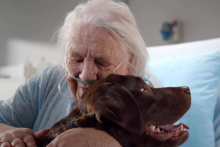 una signora anziana sul letto di ospedale abbraccia un cane