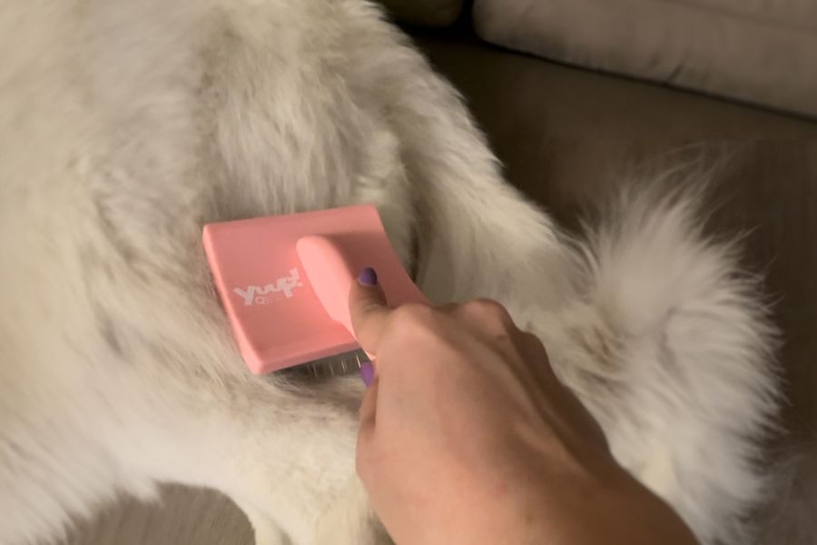 mano che spazzola con la spazzola PinkBrush per togliere il sottopelo del cane