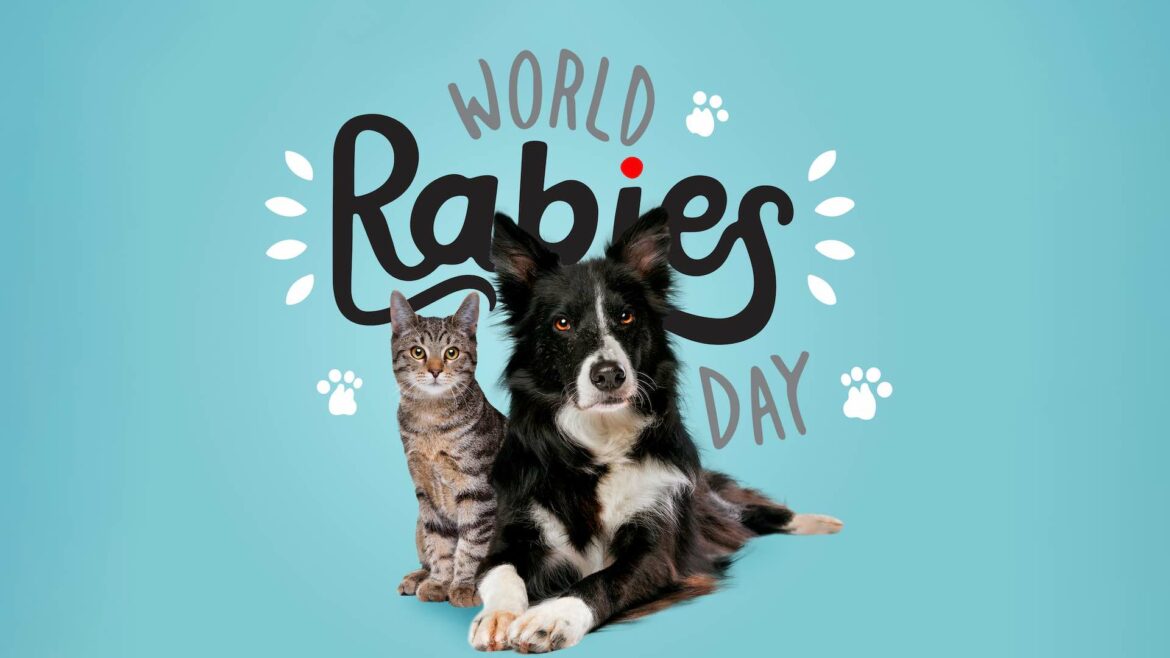 cane e gatto su sfondo azzurro con scritta World rabies day, Giornata mondiale contro la rabbia