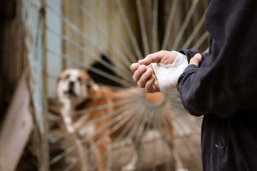 uomo con mano ferita davanti a un vetro rotto, dietro un cane che ringhia