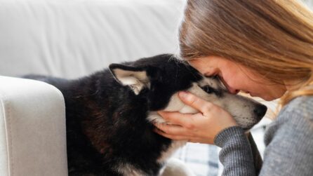 ragazza stringe tra le mani il musetto di un cane con affetto