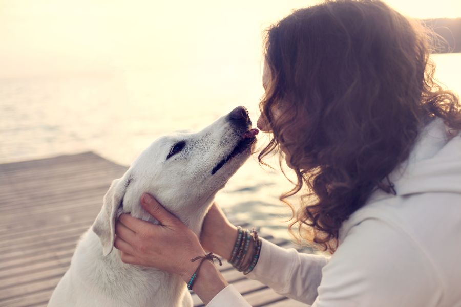 un cane bianco lecca il viso di una ragazza sul pontile