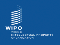 Yuup! International trademark is registerd and protected at WIPO database