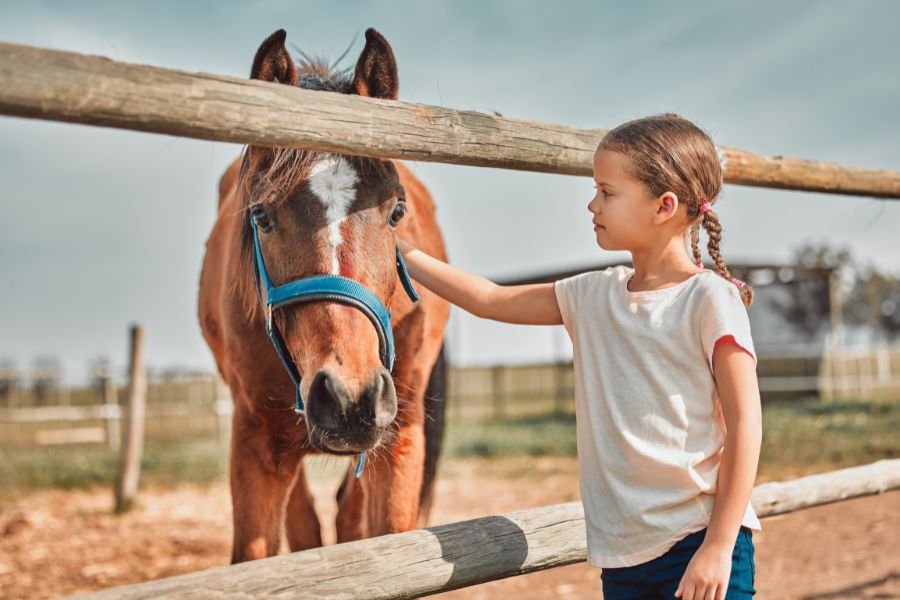 Una bambina accarezza un cavallo