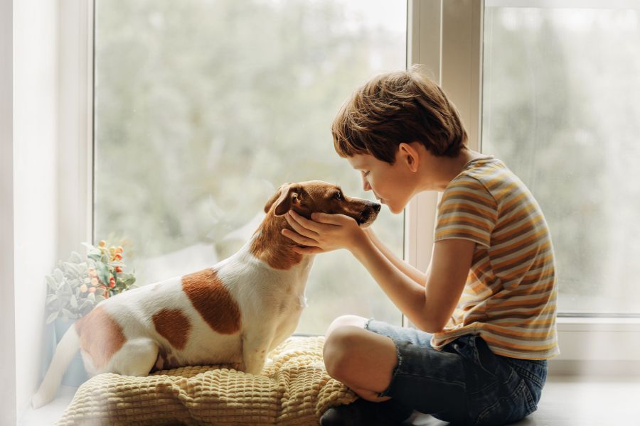 Un bambino accarezza il musetto di un cane davanti a una finestra