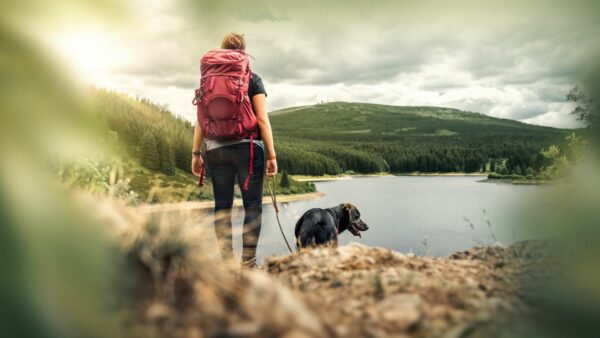 ragazza con cane in montagna davanti a un lago