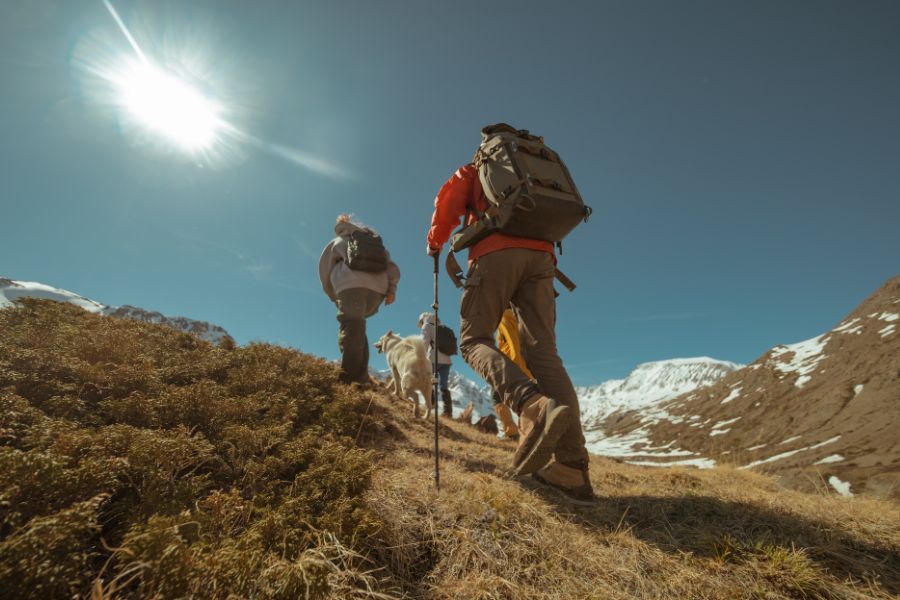 due persone e un cane scalano un sentiero in montagna