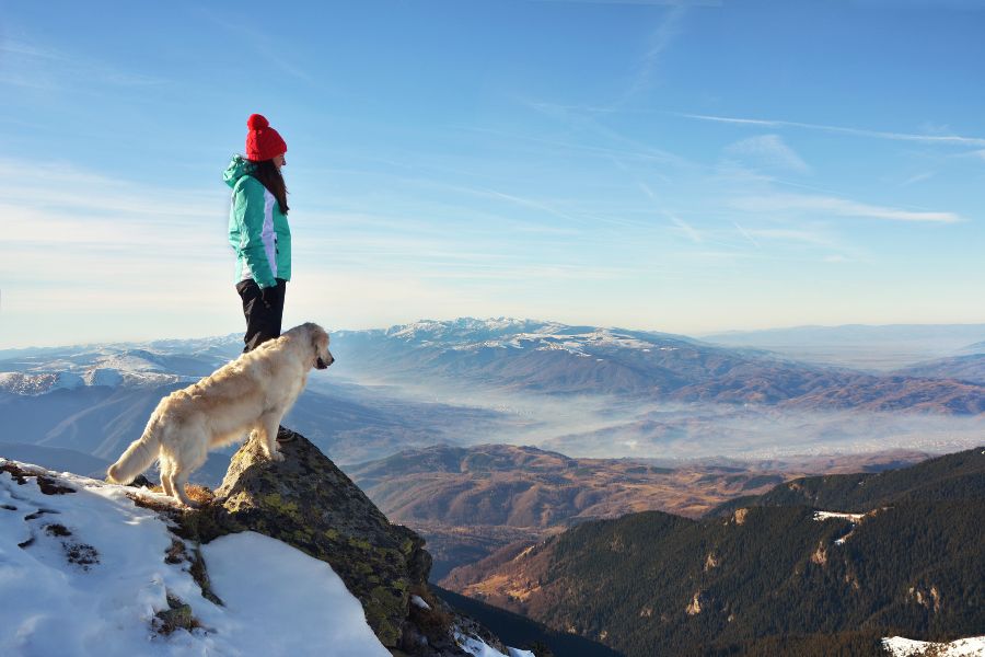 ragazza in montagna sulla neve con il suo cane