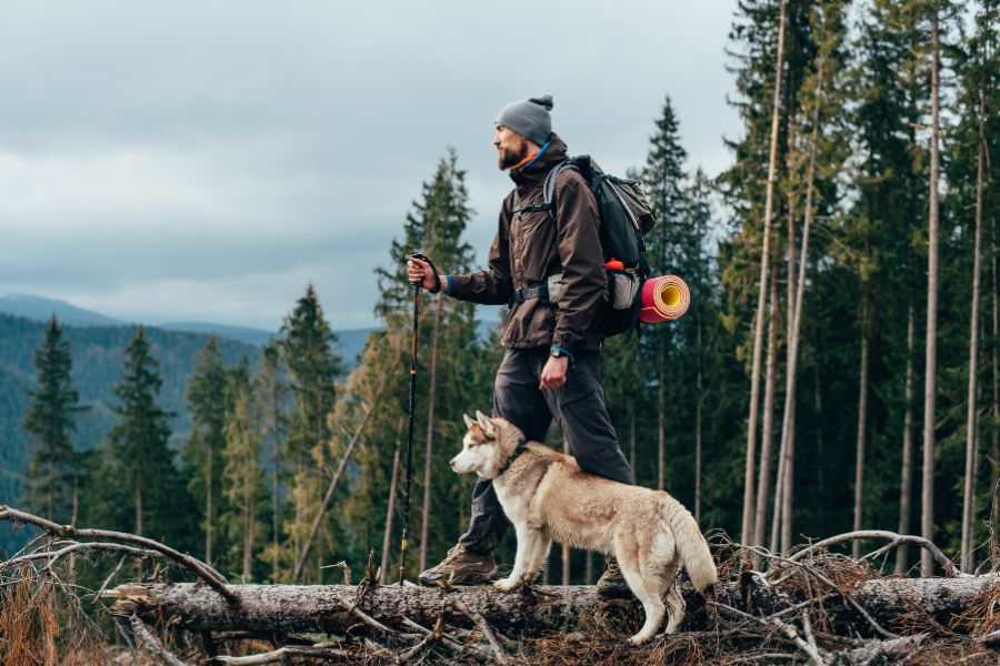 ragazzo passeggia sul tronco di un albero nel bosco con il cane