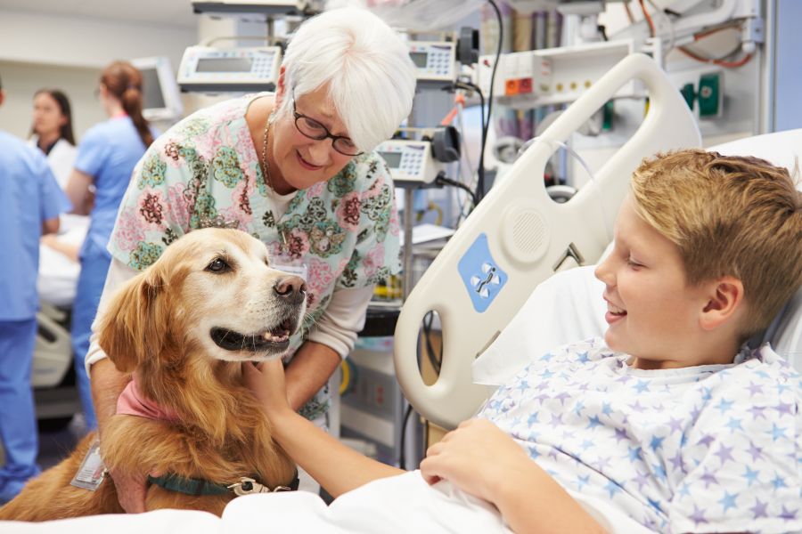 Bambino ricoverato all'ospedale accarezza un cane durante una seduta di pet therapy assieme alla nonna