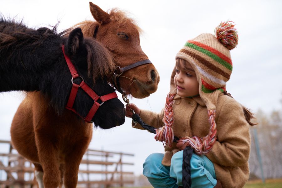 bambina accarezza un asinello durante una seduta di pet therapy