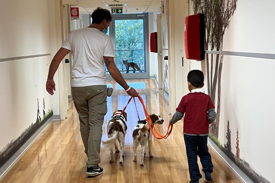 Lorenzo Fois accompagna un cane in una seduta di pet therapy, accanto a lui cammin un bambino con un altro cane al guinzaglio