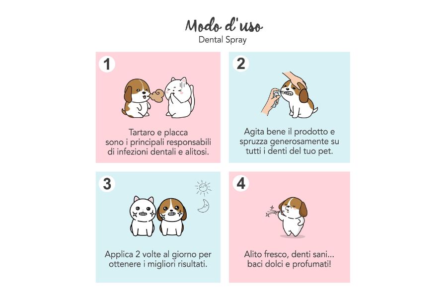 grafica che mostra come lavare i denti al cane grazie al dentifricio spray per cani Yuup!